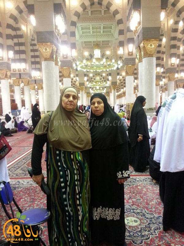 mo3tmreen yfasafa3 (32).JPG